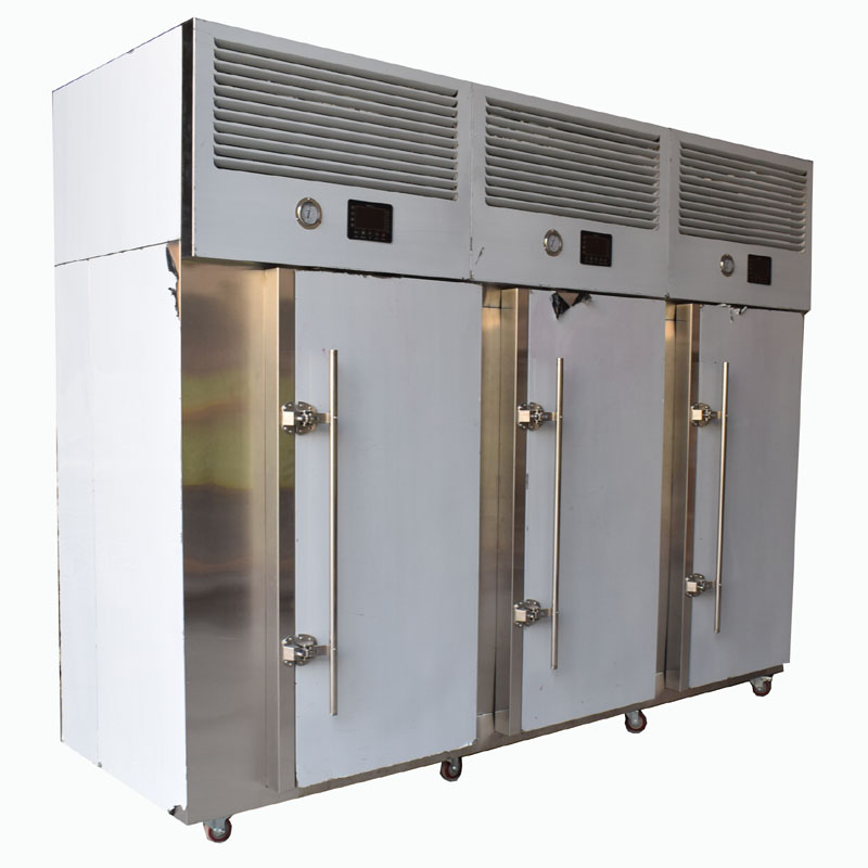 Minus 40 degrees blast freezer