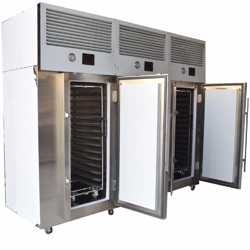 Quick freezing machine