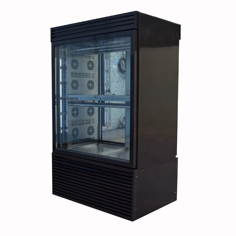 Two glass door drying display freezer